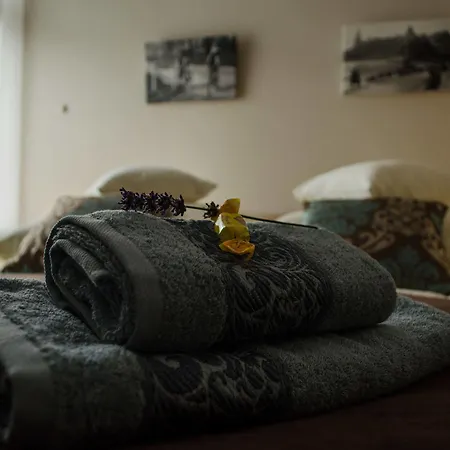Royal Route 29 Comfort Guest house 3*